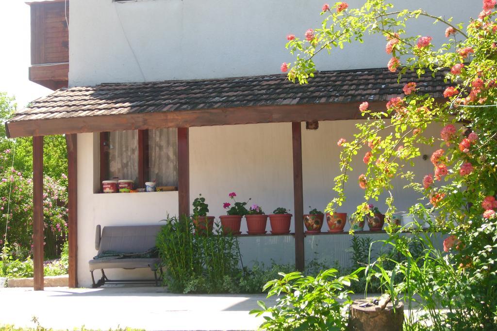Elida Guest House Шабла Экстерьер фото